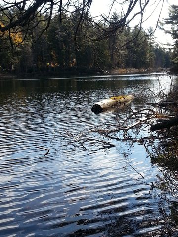 Photo from Thanksgiving weekend in Algonquin Provincial Park