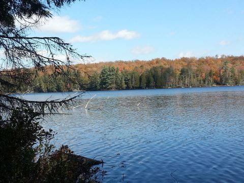Photo from Thanksgiving weekend in Algonquin Provincial Park