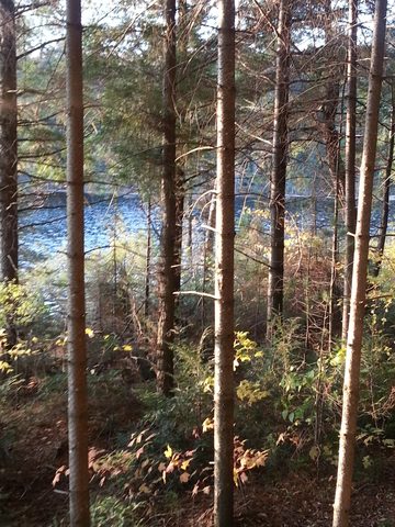 Photo from Thanksgiving weekend in Algonquin Provincial Park