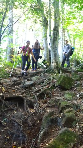 Photo from Introduction to backpacking - A first trip with Tim