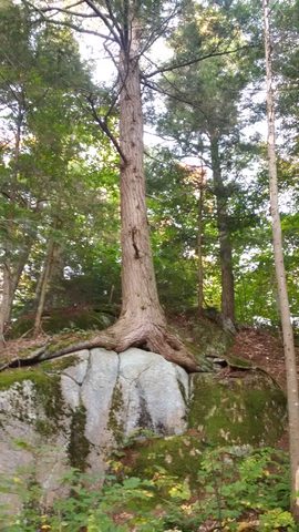 Photo from Introduction to backpacking - A first trip with Tim