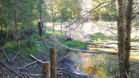 Photo from Introduction to backpacking - A first trip with Tim