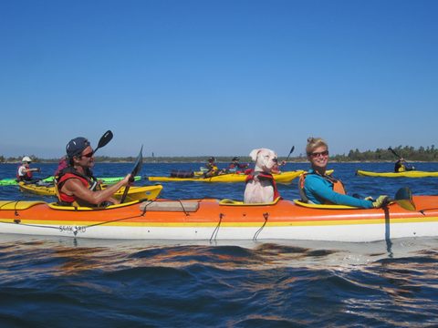 Photo from Kayaking, Mink Islands, Georgian Bay