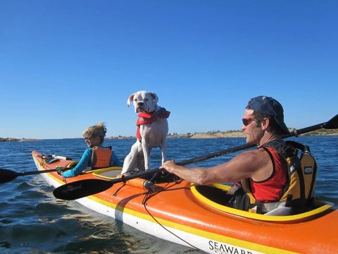 Photo from Kayaking, Mink Islands, Georgian Bay