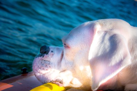 Photo from Kayaking, Mink Islands, Georgian Bay