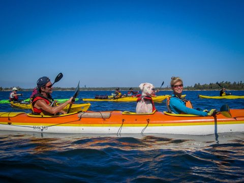 Photo from Kayaking, Mink Islands, Georgian Bay