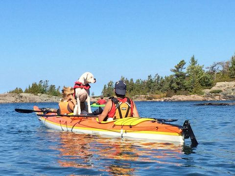 Photo from Kayaking, Mink Islands, Georgian Bay