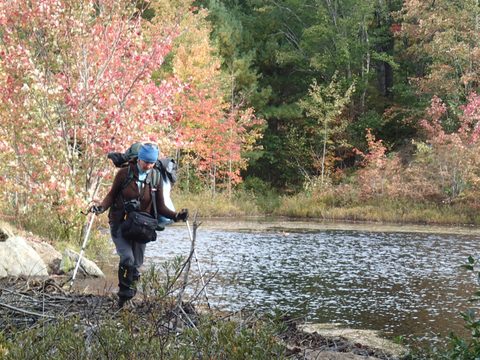 Photo from Backpacking, Victoria Lake, Queen Elizabeth Wildlands