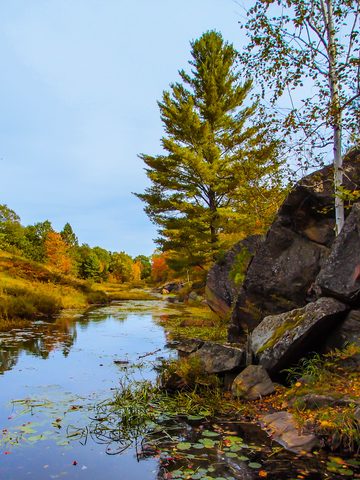 Photo from Backpacking, Victoria Lake, Queen Elizabeth Wildlands