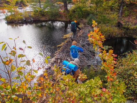 Photo from Backpacking, Victoria Lake, Queen Elizabeth Wildlands