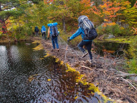 Photo from Backpacking, Victoria Lake, Queen Elizabeth Wildlands