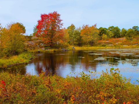 Photo from Backpacking, Victoria Lake, Queen Elizabeth Wildlands