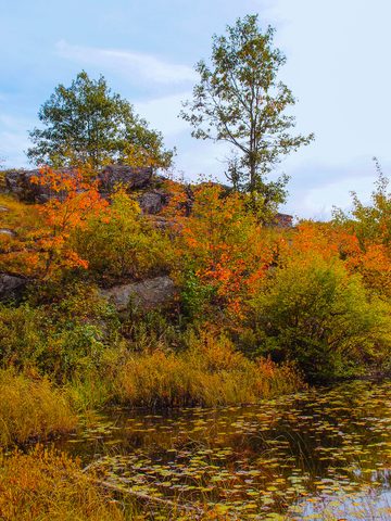 Photo from Backpacking, Victoria Lake, Queen Elizabeth Wildlands