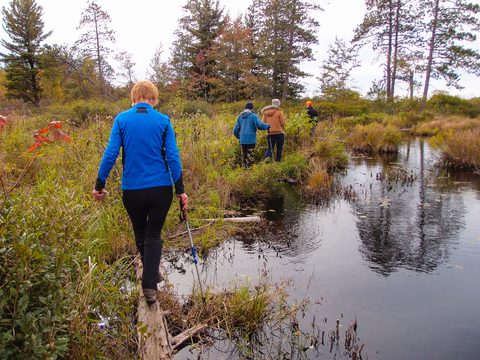 Photo from Backpacking, Victoria Lake, Queen Elizabeth Wildlands