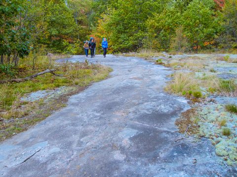 Photo from Backpacking, Victoria Lake, Queen Elizabeth Wildlands