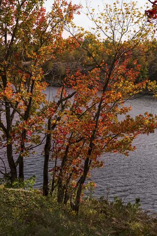 Photo from Backpacking, Victoria Lake, Queen Elizabeth Wildlands