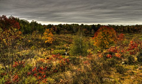 Photo from Backpacking, Victoria Lake, Queen Elizabeth Wildlands