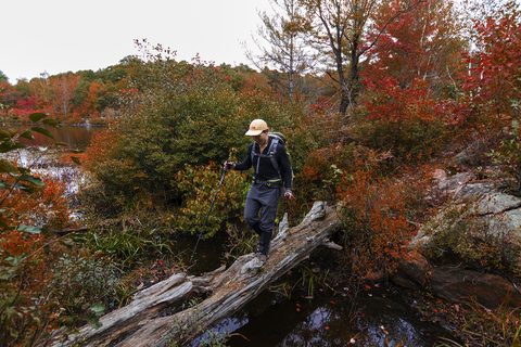 Photo from Backpacking, Victoria Lake, Queen Elizabeth Wildlands