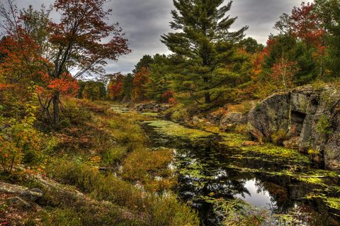 Photo from Backpacking, Victoria Lake, Queen Elizabeth Wildlands