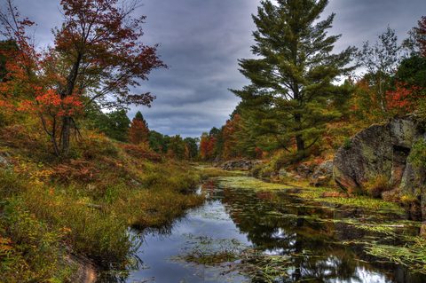 Photo from Backpacking, Victoria Lake, Queen Elizabeth Wildlands