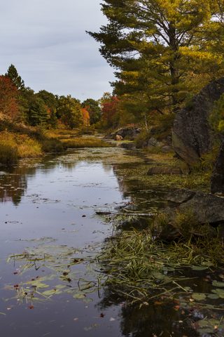 Photo from Backpacking, Victoria Lake, Queen Elizabeth Wildlands