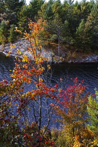 Photo from Backpacking, Victoria Lake, Queen Elizabeth Wildlands