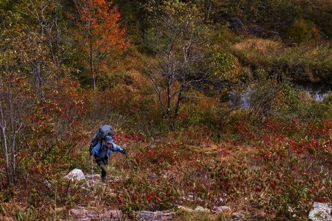 Photo from Backpacking, Victoria Lake, Queen Elizabeth Wildlands