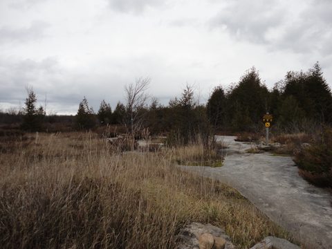 Photo from Backpacking, Reeds Dump, Bruce Trail, Lion's Head