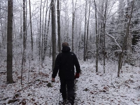 Photo from Backpacking, Reeds Dump, Bruce Trail, Lion's Head
