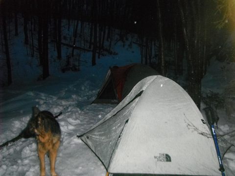 Photo from Snowshoeing Algonquin, Guskewau Lake