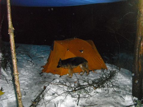 Photo from Snowshoeing Algonquin, Guskewau Lake