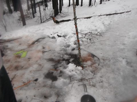 Photo from Snowshoeing Algonquin, Guskewau Lake
