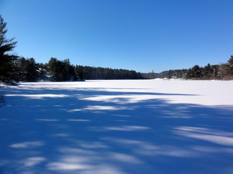 Photo from Queen Elizabeth II Wildlands - 2016 The First (Devils Lake to Lake Victoria )