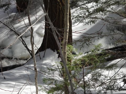 Photo from Algonquin Mud Marathon
