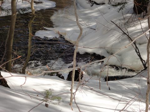Photo from Algonquin Mud Marathon
