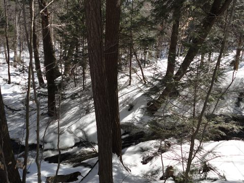 Photo from Algonquin Mud Marathon