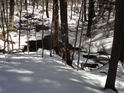 Photo from Algonquin Mud Marathon