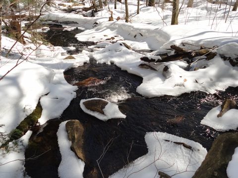 Photo from Algonquin Mud Marathon