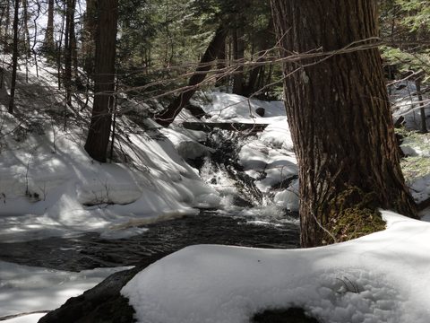 Photo from Algonquin Mud Marathon