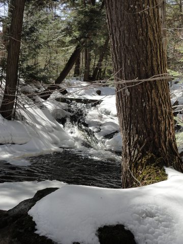 Photo from Algonquin Mud Marathon