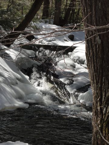 Photo from Algonquin Mud Marathon