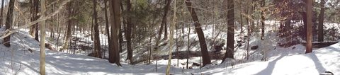 Photo from Algonquin Mud Marathon