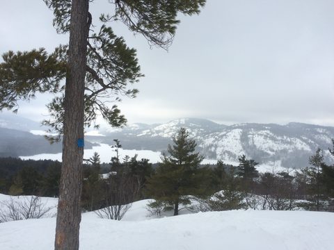 Photo from Winter Camp Killarney & The Crack