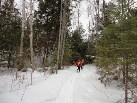 Photo from Winter Camp Killarney & The Crack