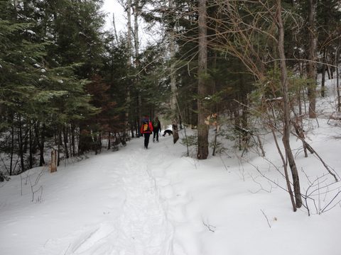 Photo from Winter Camp Killarney & The Crack