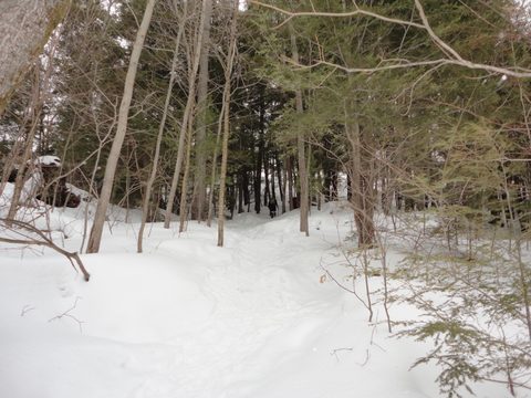 Photo from Winter Camp Killarney & The Crack