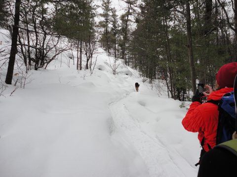 Photo from Winter Camp Killarney & The Crack
