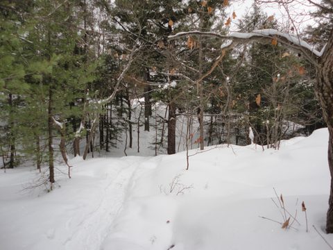Photo from Winter Camp Killarney & The Crack