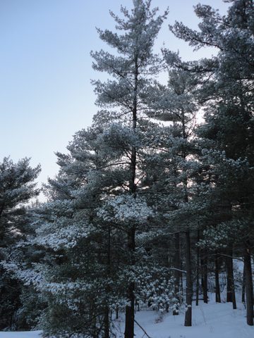 Photo from Winter Camp Killarney & The Crack