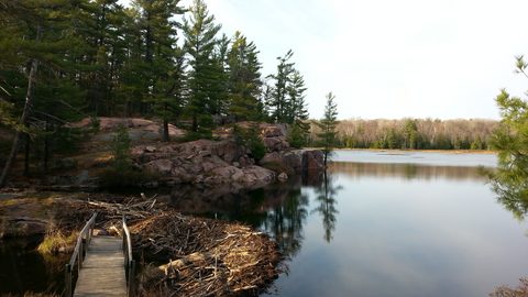 Photo from Killarney Cleanup